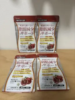 AFC 脂肪減少サポート エラグ酸 30日分×4袋のサムネイル