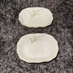 もふ次郎さん専用 Richard Ginori さくらんぼ皿＋白鳥＋リボン皿