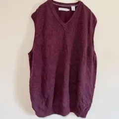１点もの✨️ALEX CANNON コットンニットベスト ボルドー L ネップ柄
