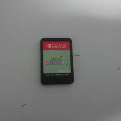 どうぶつの森 Nintendo Switch
