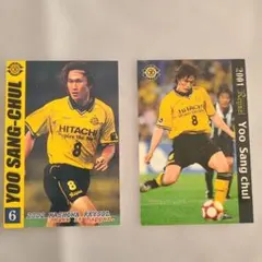 2026年最新】柳想鐵の人気アイテム - メルカリ