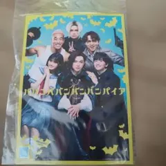 ババンババンバンバンパイア 13巻 特典 アニメイト 4Pリーフレット
