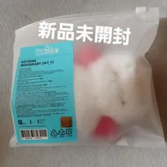 boynextdoor プネクド ウナギ ウナク KEYRING