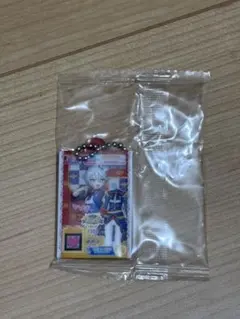 ち*♩様 アイカツ！×プリパラ だれでもアクリルチャーム 2