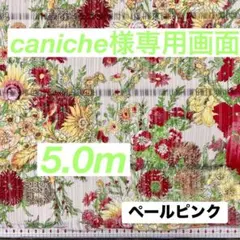 caniche様専用画面 5.0m