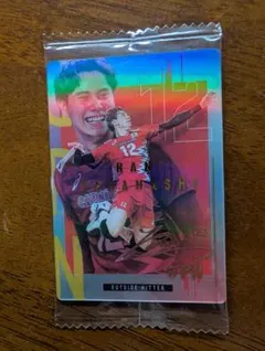 Item thumbnail for item 576944d6-0247-411f-a54b-d6178d0235a4