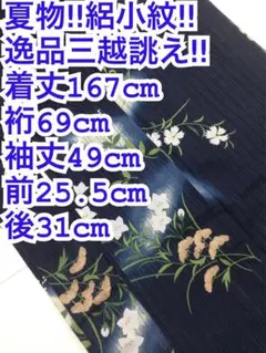 2026年最新】絽 着物 トールサイズの人気アイテム - メルカリ