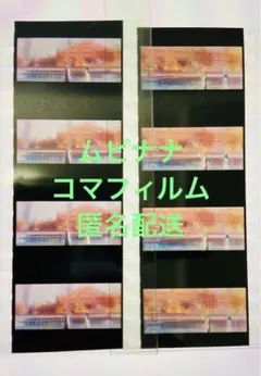 ムビナナ 特典 フィルム Re:vale 2点セット