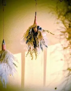 パンパスグラスとミモザのスワッグ