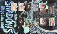 ミセスグリーンアップルSHADOWS フォトカ 若井滉斗 11枚セット