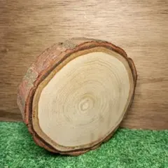 Item thumbnail for item 3f2fc87e-4135-44fd-84c9-68c0ee656180