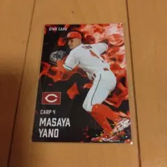 カルビー プロ野球チップス 2025 矢野雅哉 スターカード 2026 小園海斗
