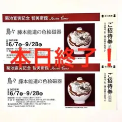 陶芸作家　色絵作家　力石俊二 色絵　長皿　30㎝　椿　水仙　人間国宝　藤本能道 陶芸作家 色絵作家 力石俊二 色絵 長皿 30㎝ 椿 水仙 人間国宝 藤本