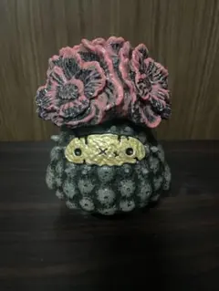 Item thumbnail for item 0b00220c-fbc3-4b3e-8b85-e5c52dd34ba0