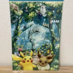 ポケパークカントー クリアファイル 2枚セット ブイブイヴォヤージュ