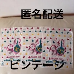 Walt Disney World フロリダ　ショップ袋　３枚　ビンテージ