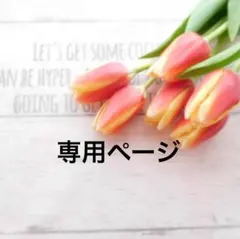 ほしいも様　専用ページ