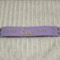 2025年最新】eve ラバーバンドの人気アイテム - メルカリ