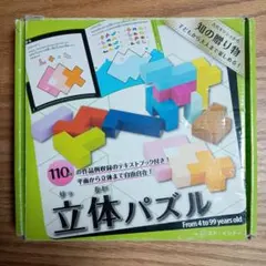 エド・インター 立体パズル 知育玩具のサムネイル