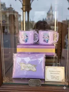 ファンタジースプリングス ホテル エコバッグ1個とコップ2個セット