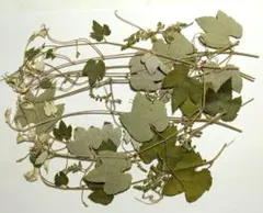 Item thumbnail for item 58bede68-4534-4390-9706-ff72e232c95c