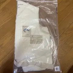 マスターマインドジャパン テンピュール クッション mastermind レア