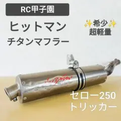 TMAX530 12-16 RC甲子園HITMAN ヒットマンマフラー RC甲子園 HITMANマフラー のパーツレビュー | TMAX(fujisuke