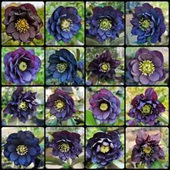 パステル様 リクエスト 3点 まとめ商品