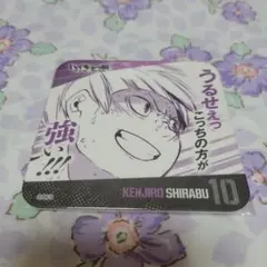 ハイキュー 青春激励コースター 白布賢二郎