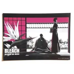 【最終お値下げ】BLEACH 検定 八番隊 京楽春水 伊勢七緒 ブロマイド