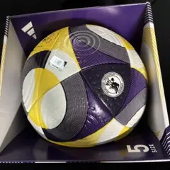 Item thumbnail for item e307ddaa-c744-4e0b-9938-b4294cd9d032