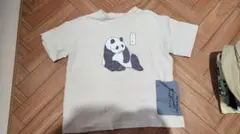 パンダイラスト Tシャツ 100サイズ