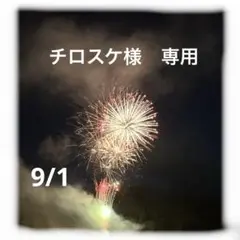 チロスケ様　専用