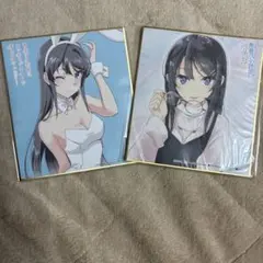 激レア　青春ブタ野郎はバニーガール先輩の夢をみない　特典B2クリアポスター 激レア 青春ブタ野郎はバニーガール先輩の夢をみない 特典B2クリア