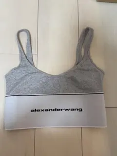 alexander wang ブラタンクトップ 2026年最新】Alexander Wang レディース タンクトップの人気アイテム