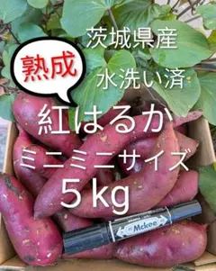 茨城県産さつま芋訳あり紅はるか　ミニミニサイズのサムネイル