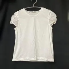 alicia PAGE BOY 半袖レースTシャツ