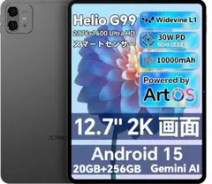 TECLAST ArtPad Pro タブレット ペン無しモデル