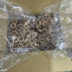 クルミの殻 工作素材 60サイズ箱いっぱい約2.5kg