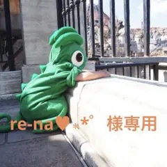 re-na♥︎︎∗︎*゜様専用