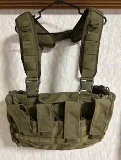 2026年最新】タスマニアンタイガー チェストリグの人気アイテム - メルカリ