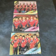 2014年BBM体操カード　日本代表男子　日本代表女子　日本代表チーム　3枚
