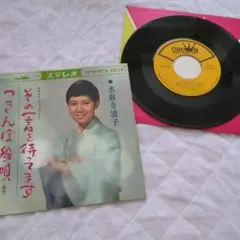 Item thumbnail for item 5e2892d2-b1b0-4c21-b34d-db4fd95739fd