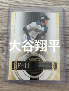 2015 GENESIS 大谷翔平 北海道日本ハムファイターズ ジェネシス 美品