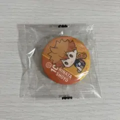 ハイキュー 缶バッジ 日向