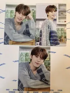 Seventeen HOME ディノ