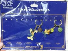 東京ディズニーリゾート 30周年記念キーホルダーセット