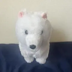 サモエド りんたろう GIGO限定 - メルカリ