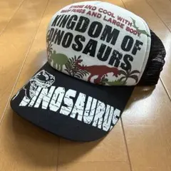 恐竜柄 キッズ メッシュキャップ 54cm