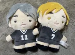 ハイキュー つぶぬい